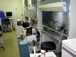 P3実験室（２）