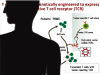 Medical and Molecular Oncology