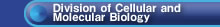Division of Cellular and Molecular Biology