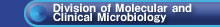 Division of Molecular and Clinical Microbiology
