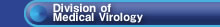 Division of Medical Virology