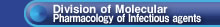 Division of Molecular Pharmacology of Infectious agents