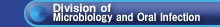 Division of Oral Bacteriology