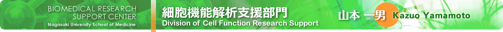 細胞機能解析支援部門 山本一男