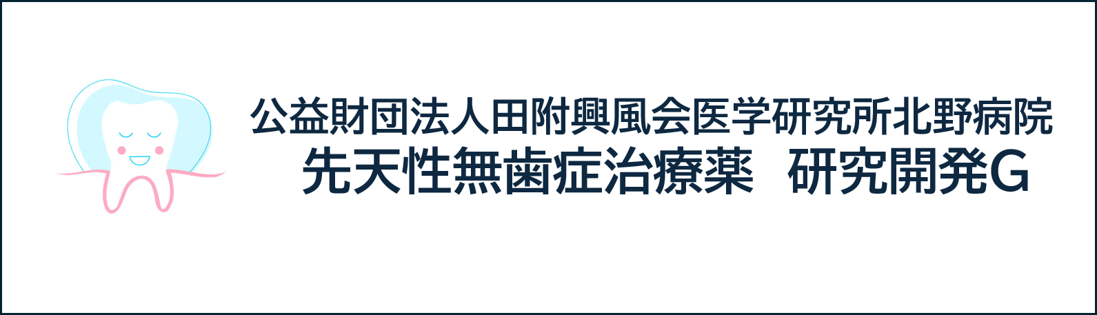 先天性無歯症治療薬 研究開発グループ