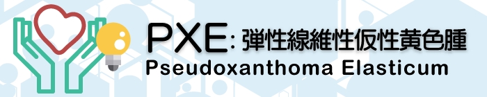 PXE：弾性線維性仮性黄色腫