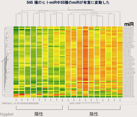 H.pylori 感染胃炎におけるクラスター解析