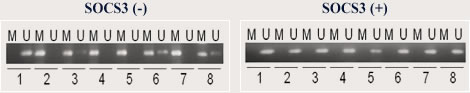 胆管癌ではSOCS3 epigenetic silencingが頻発 ** 