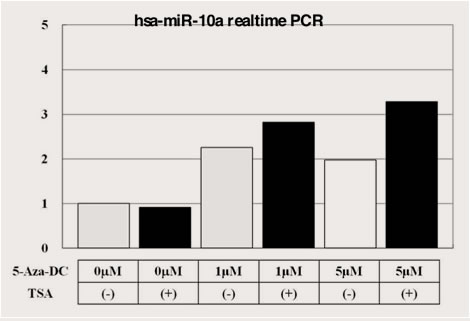 Epigenetic regulation of miR expression?