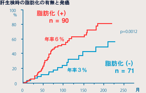 C型慢性肝炎発癌と肝脂肪化