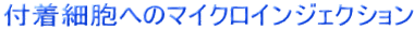 tזEւ̃}CNCWFNV