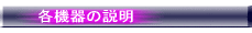 e@̐