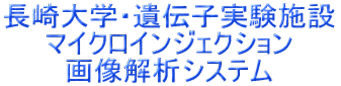 wE`q{ }CNCWFNV 摜̓VXe