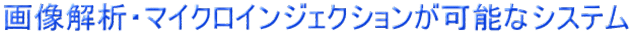 摜́E}CNCWFNV\ȃVXe