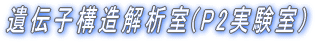 `q\͎(P2) 