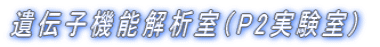 `q@\͎iP2) 