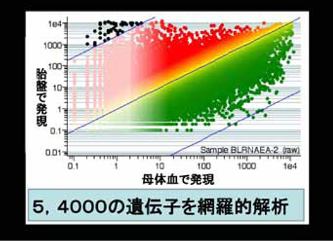 図４　GeneChip による遺伝子スクリーニング