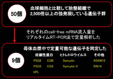 図５　母体血漿中で定量可能な遺伝子を同定