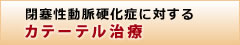 閉塞性動脈硬化症に対する カテーテル治療