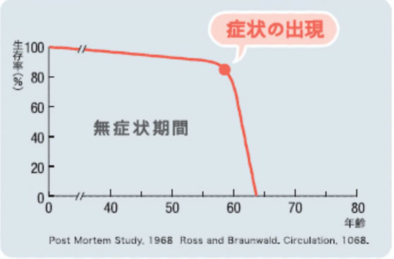 正常な大動脈弁