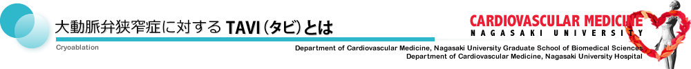 大動脈弁狭窄症に対するTAVI（タビ）とは