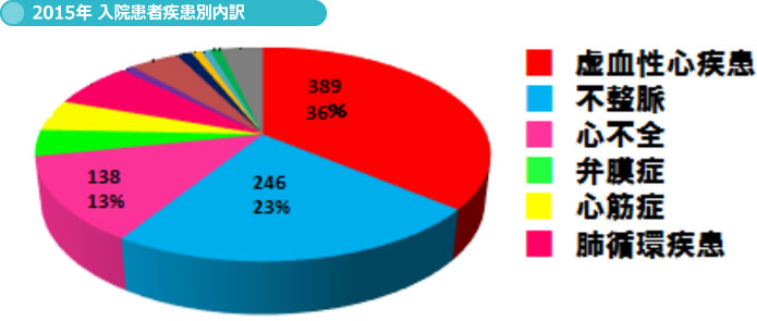 2015年 入院患者疾患別内訳