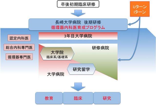 内科研修・循環器内科研修