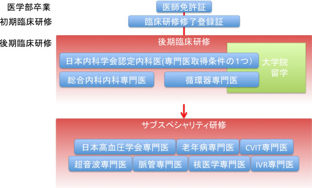 内科領域の専門医制度