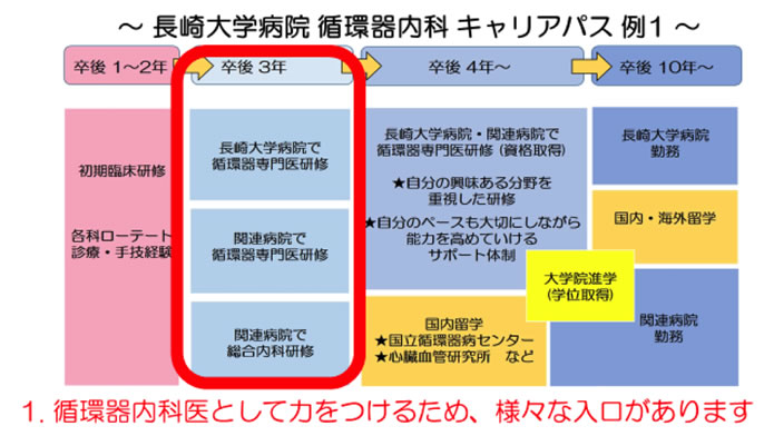 長崎大学病院循環器内科キャリアパス例１