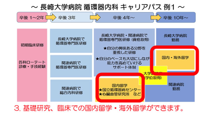 長崎大学病院循環器内科キャリアパス例１