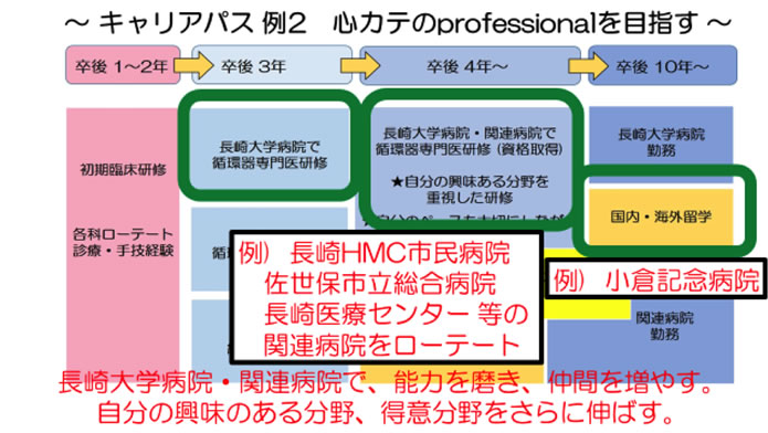 キャリアパス例２　心カテprofessionalを目指す