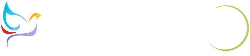 事業の概要