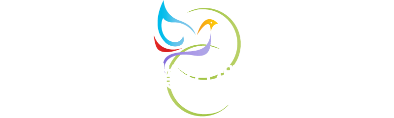 事業の概要