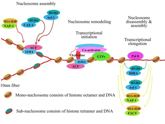 Biochemistry