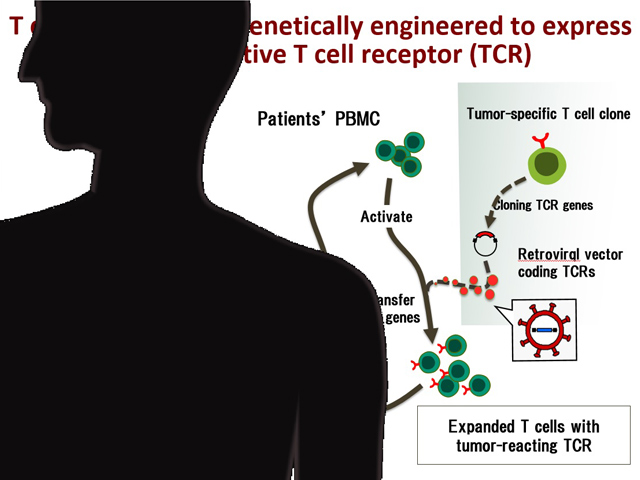 Medical and Molecular Oncology