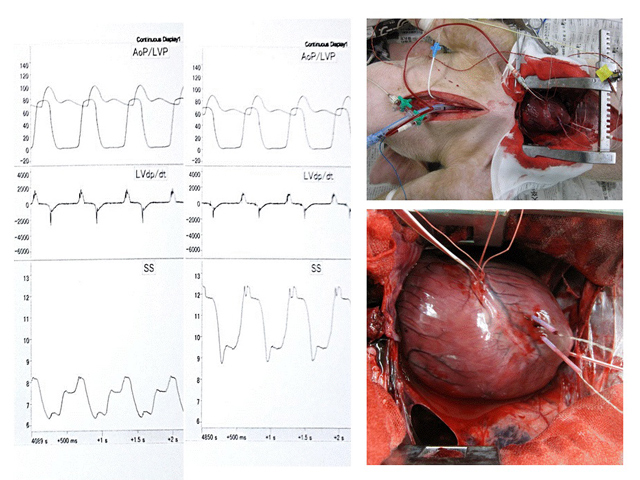 Anesthesiology