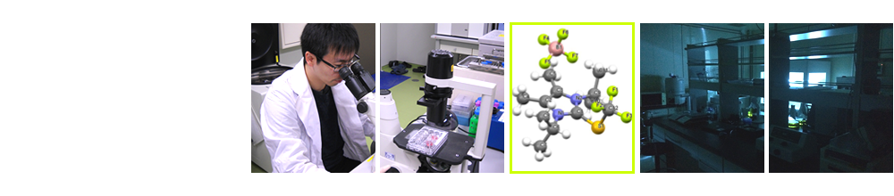 Center for Bioinformatics and Molecular Medicine, Nagasaki University