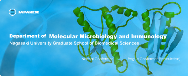 Department of Molecular Microbiology and Immunology, Nagasaki University Graduate School of Biomedical Sciences