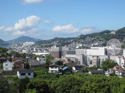 臨床腫瘍学教室からの風景