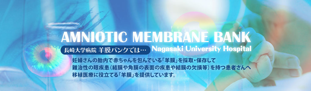 長崎大学病院羊膜バンクでは…　妊婦さんの胎内で赤ちゃんを包んでいる「羊膜」を採取・保存して、難治性の眼疾患（結膜や角膜の表面の疾患や結膜の欠損等）を持つ患者さんへ移植医療に役立てる「羊膜」を提供しています。