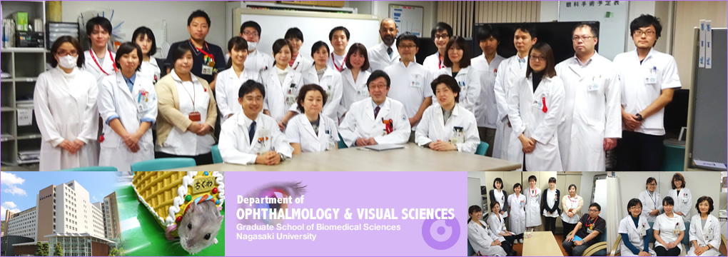 Department of Ophthalmology and Visual Sciences, Graduate School of Biomedical Sciences, Nagasaki University