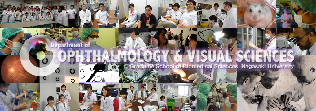 Department of Ophthalmology and Visual Sciences, Graduate School of Biomedical Sciences, Nagasaki University