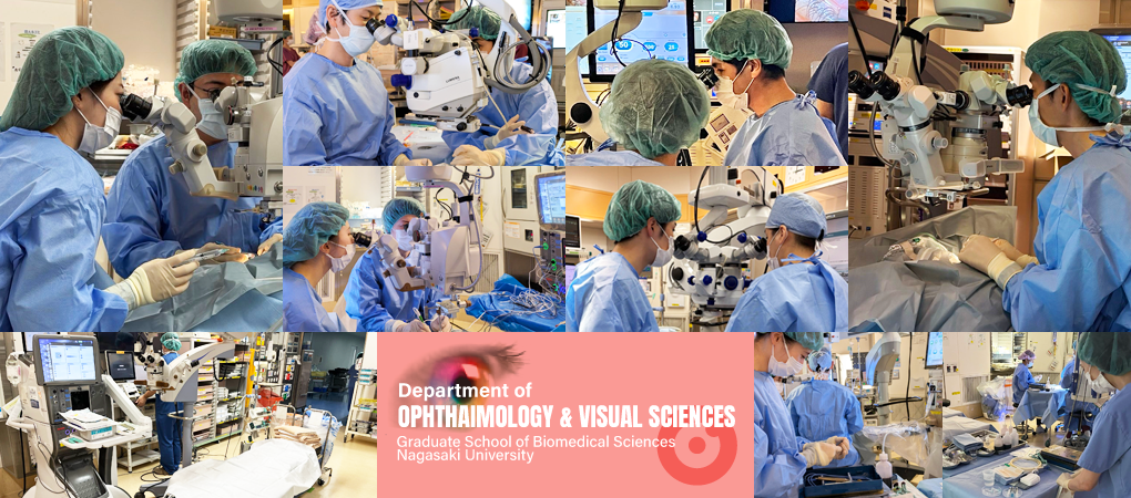 Department of Ophthalmology and Visual Sciences, Graduate School of Biomedical Sciences, Nagasaki University