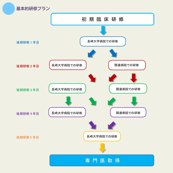 基本的研修プラン