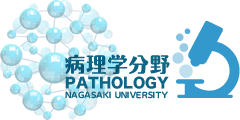 長崎大学大学院医歯薬学総合研究科病理学分野