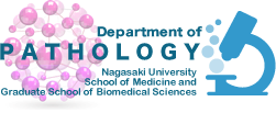 Department of Pathology, Nagasaki University School of Medicine and Graduate School of Biomedical Sciences