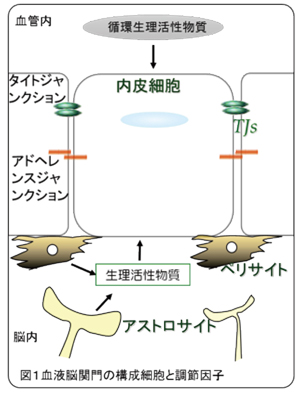 図1