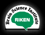 RIKEN BSI