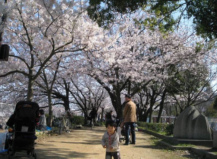 妙法寺川にて