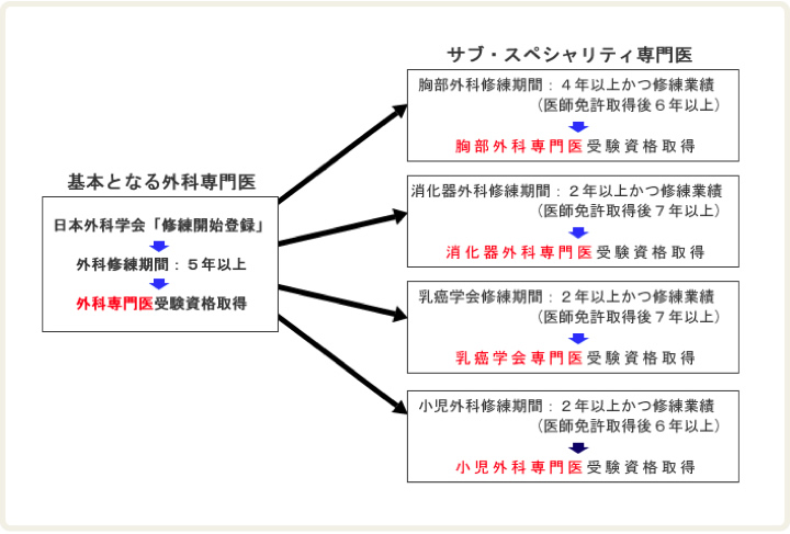 サブスペシャリティ